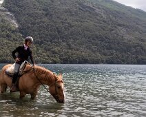 IMG_6543 23/11/2019 - Tant qu'à faire autant en profiter pour boire un p'tit coup. Halija my mare was so relaxed and happy to have such a huge water trough at her...